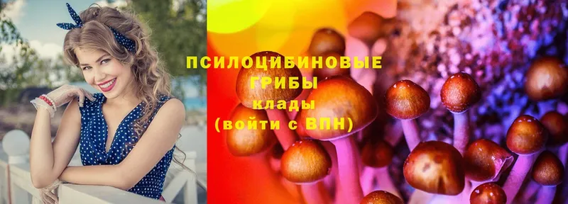 МЕГА зеркало  Пыталово  маркетплейс Telegram  Псилоцибиновые грибы Magic Shrooms 